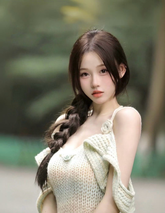 甄嬛传 封面